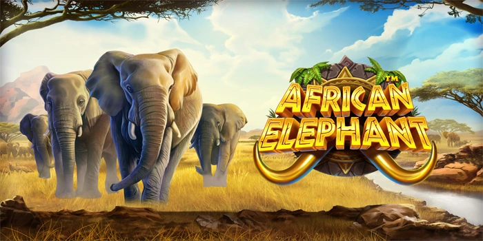 Trik Main Slot African Elephant Agar Mudah Menang Maxwin
